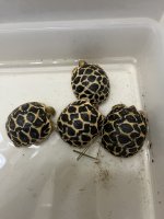 thumbnail_IMG_2447.jpg