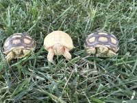 IMG_4759.jpeg