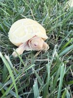 IMG_4756.jpeg