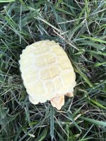 IMG_4757.jpeg