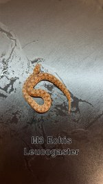 IMG_4121.jpeg