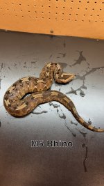 IMG_4097.jpeg