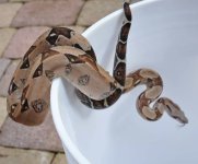 IMG_4179.jpeg
