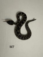 IMG_0786.jpeg