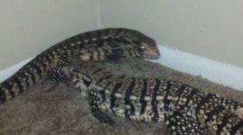 2011-03-06_17-11-18_654.jpg