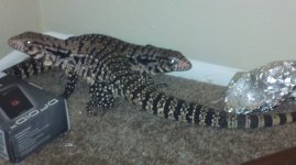 2011-03-06_17-11-56_729.jpg