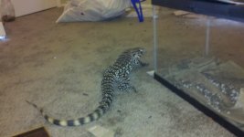 2011-03-06_17-16-28_453.jpg