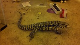 2011-03-06_17-22-06_606.jpg