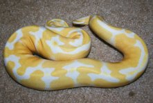 new camera pics 509.jpg