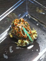 IMG_0500_2.jpg