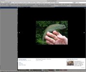 Screen shot 2011-04-01 at 10.44.41 AM.jpg