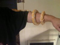 IMG00048-20110406-2148.jpg