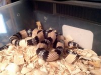 2011-04-22_00-13-06_625.jpg