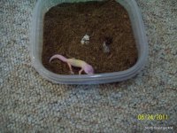 100_2103-1.jpg
