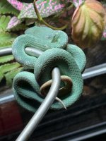 IMG_6588.jpeg