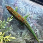 IMG_2858.jpeg