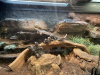 IMG_1057.jpeg