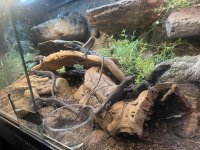 IMG_1060.jpeg