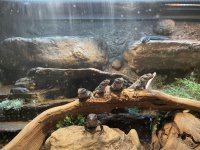 IMG_1059.jpeg