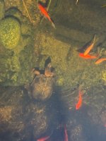 IMG_1459.jpeg