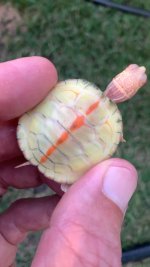 IMG_2496.jpeg
