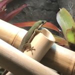 IMG_4919.jpeg