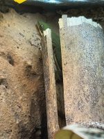 IMG_6084.jpeg