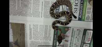 IMG_9305.jpeg