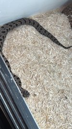 IMG_1373.jpeg
