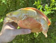IMG_6640.jpeg