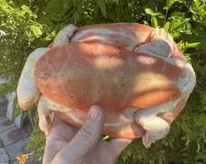 IMG_6635.jpeg