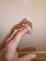 IMG_20251008_093457_016.jpg