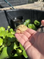 IMG_6236.jpeg