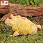 ug_Adult_Pikachu_Pacman_4.jpg