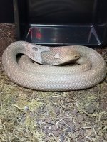IMG_7202.jpeg