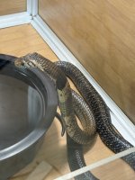IMG_7204.jpeg