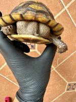 IMG_1927.jpeg