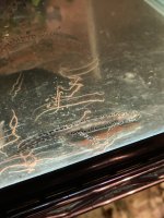 IMG_2710.jpeg