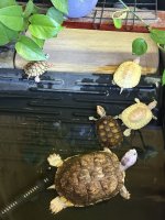 IMG_0162.jpeg