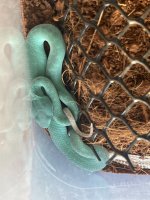 IMG_1867.jpeg
