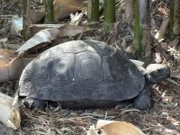 IMG_3342.jpeg