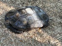 IMG_3345.jpeg