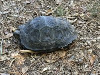 IMG_3418.jpeg