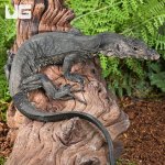 ug_Black Bintang Water Monitor_4.jpg