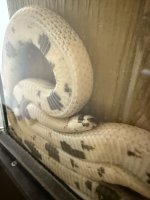 IMG_5971.jpeg