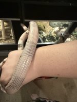 IMG_6273.jpeg