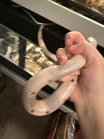 IMG_6271.jpeg