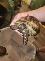 20251101_222732.jpg