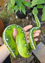 b2.jpg