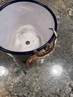 IMG_8706.jpeg